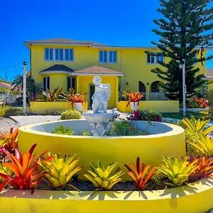 Golden Palms House Couette-café